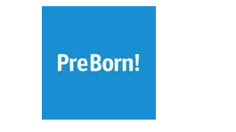 Web Developer/Analyst