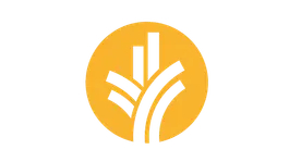Senior Project Manager