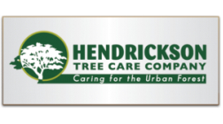 Arborist or Arborist Assistant